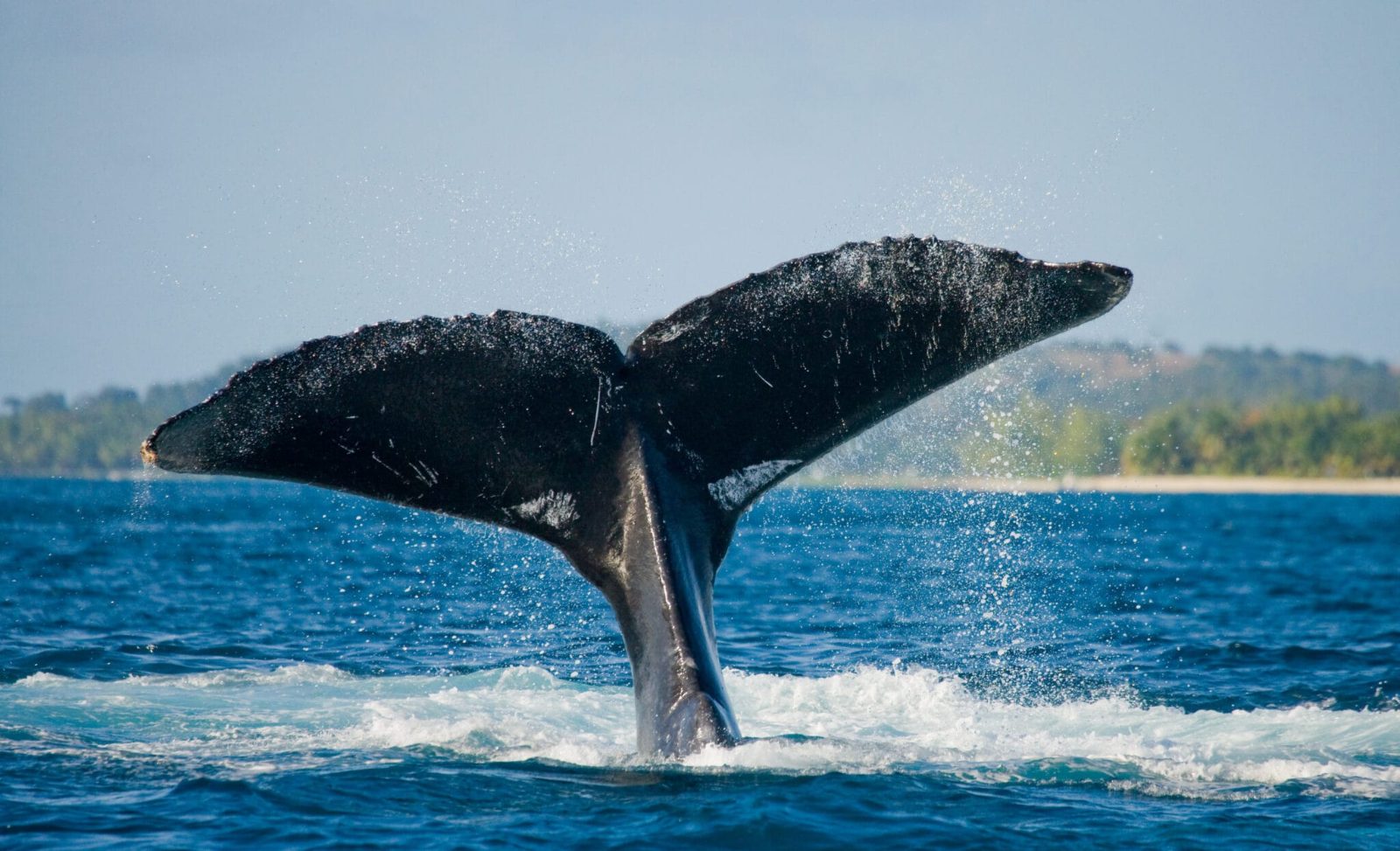 Ballena Rocks