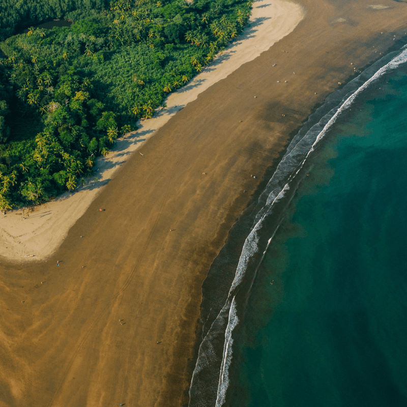 Playa Colonia Shoreline