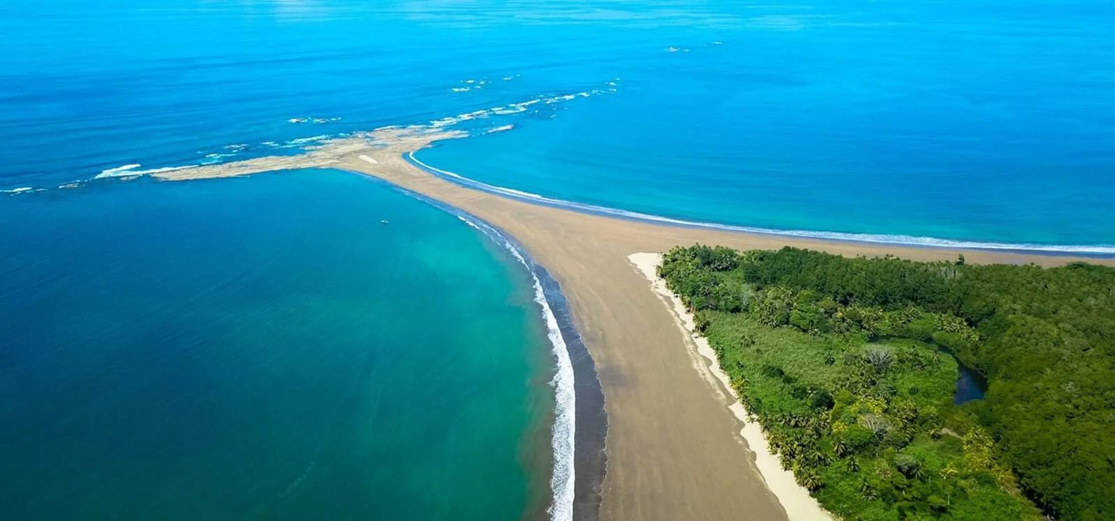 The Whale Tail Sandbar