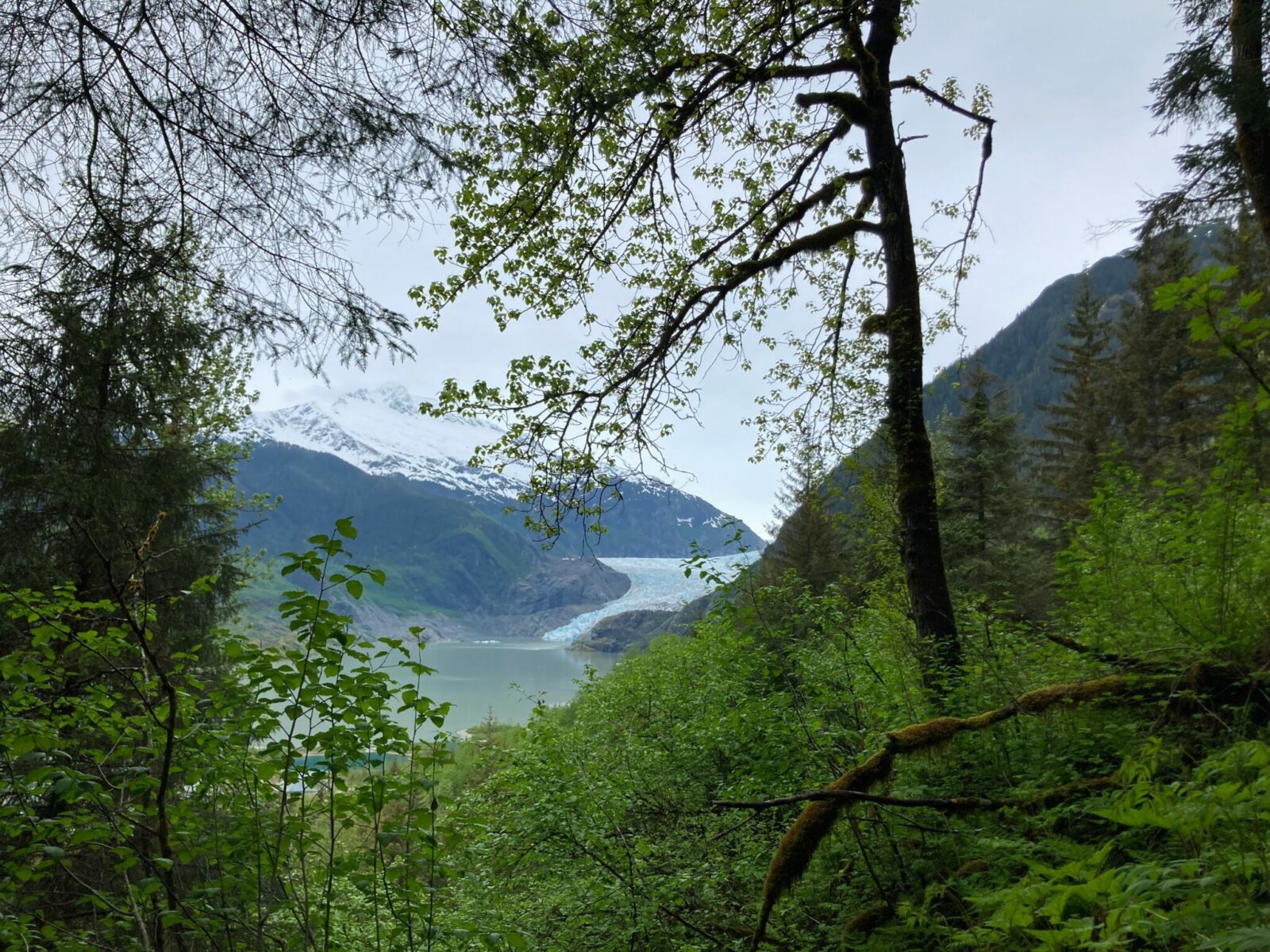 East Glacier Trail