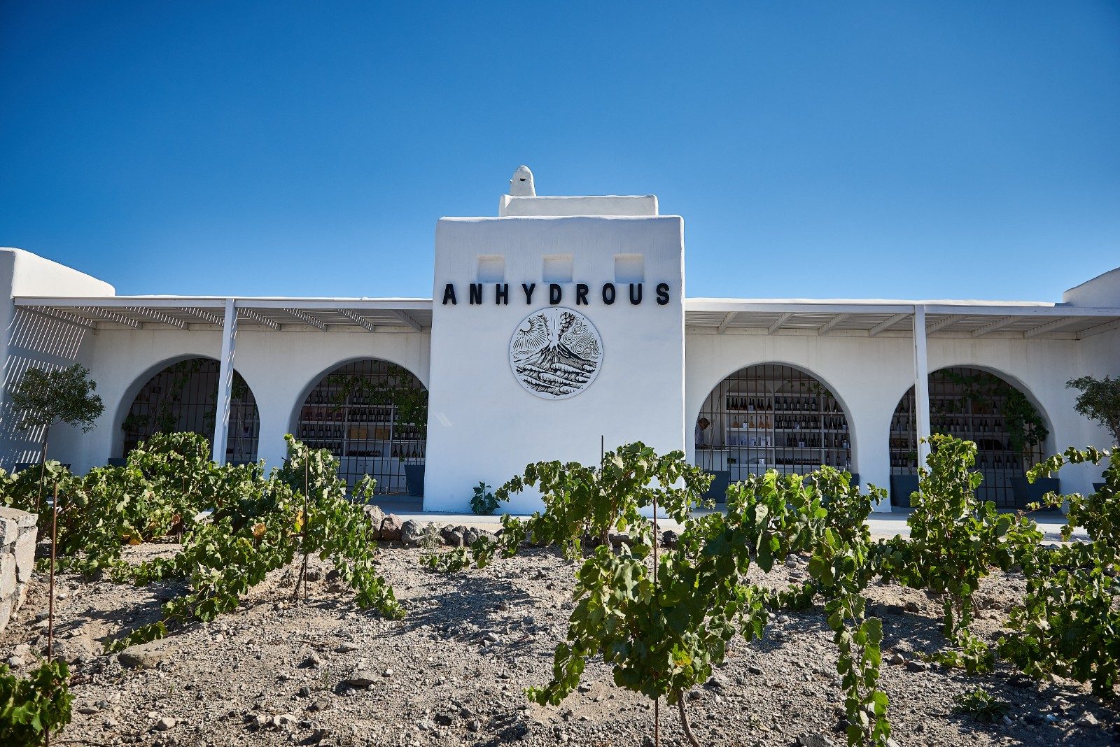 Interactive Tasting Room