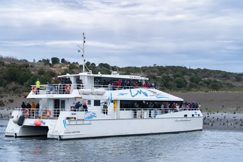 Your experience at Beagle Channel Cruise Tours & Tickets