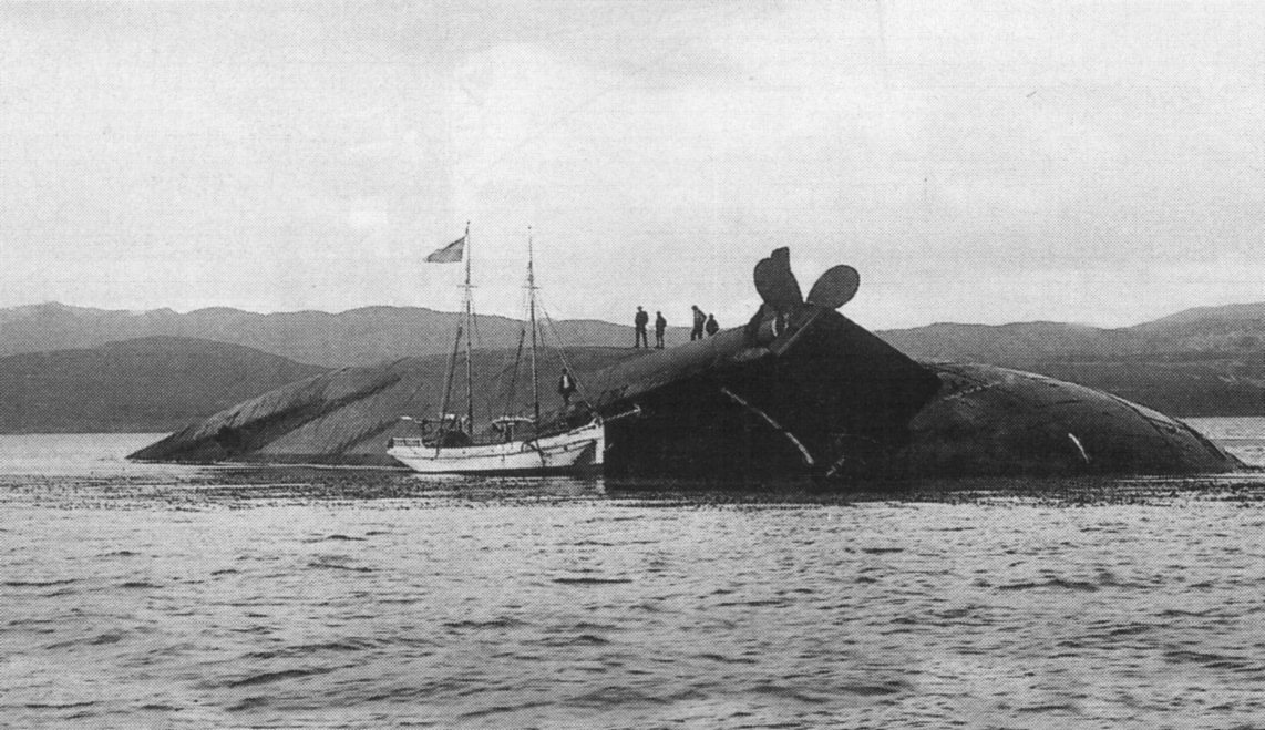 SS Monte Cervantes Wreck Site