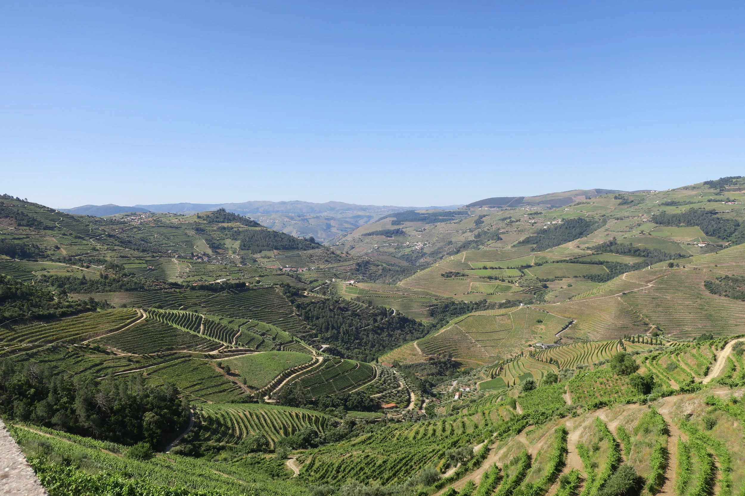 Quinta Terraces