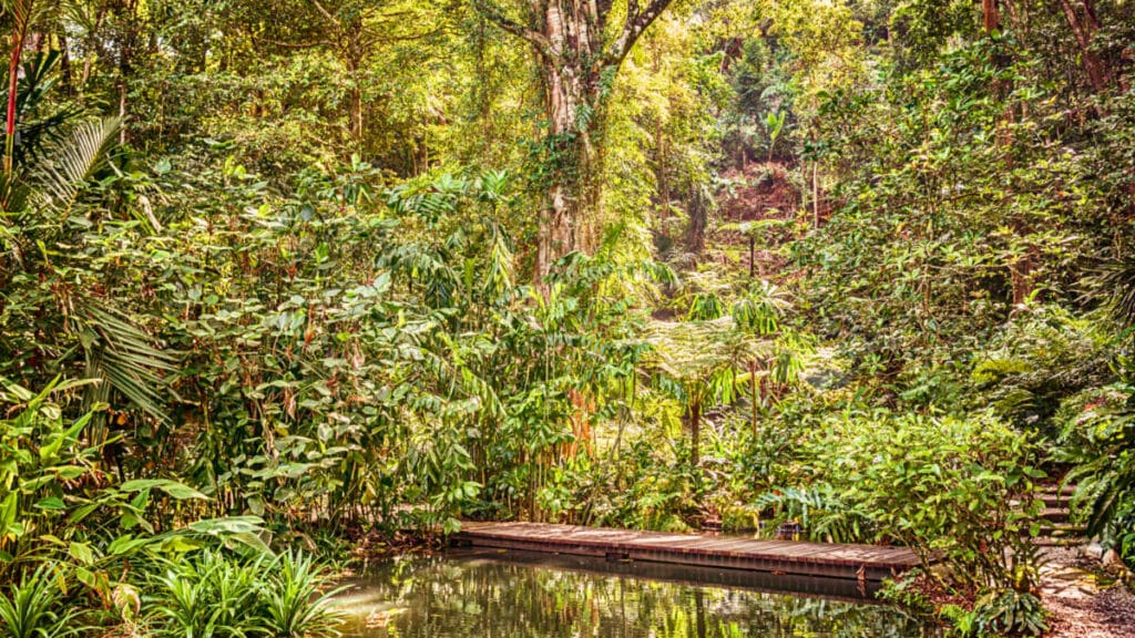 Spice Garden Footbridge