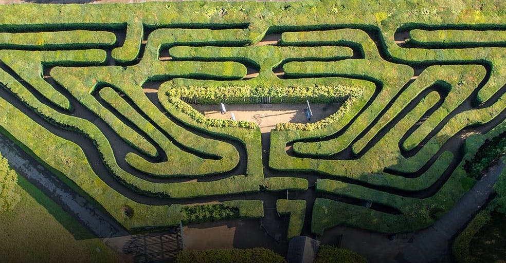 The Maze & Magic Garden