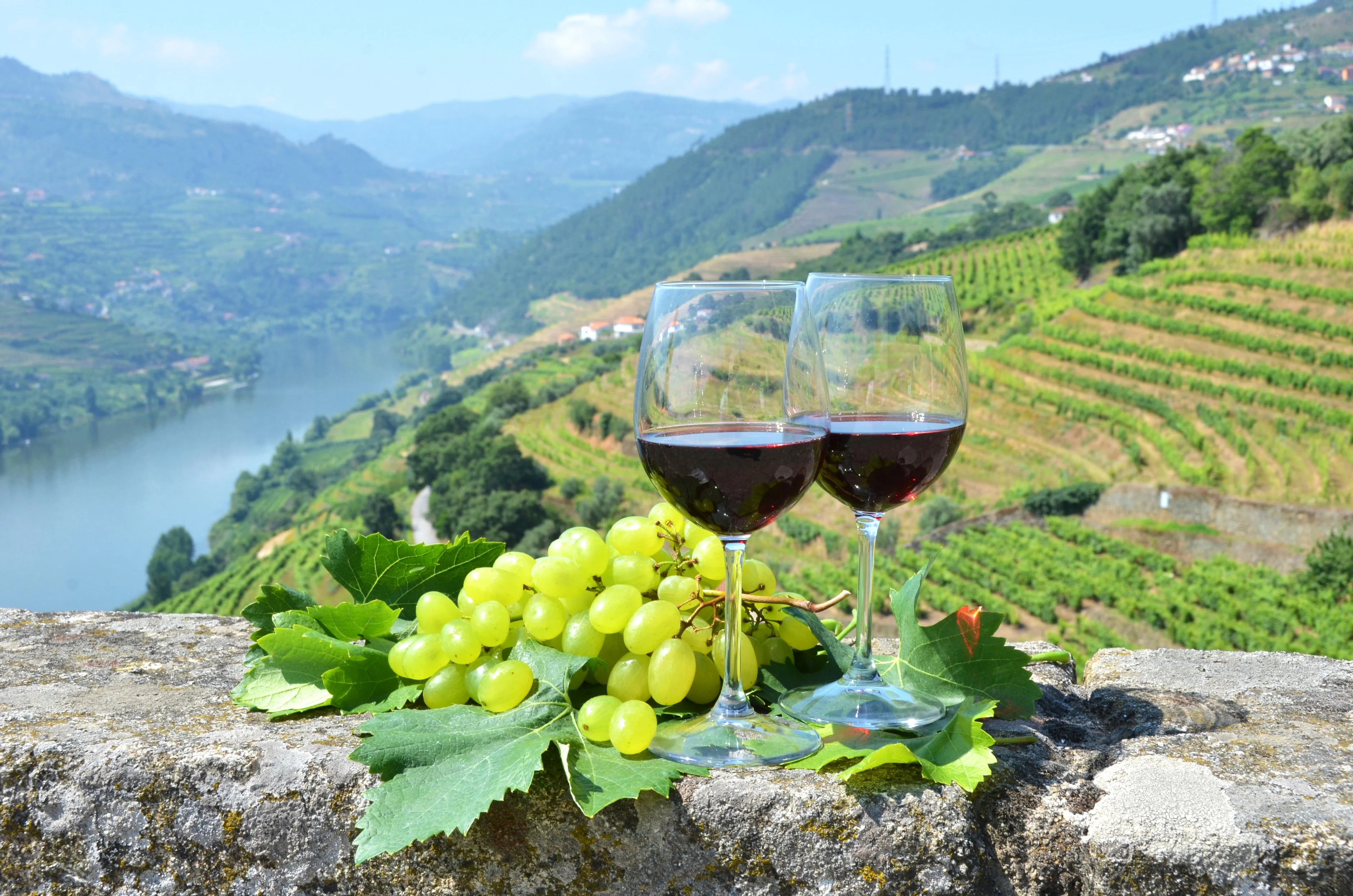 Porto Wine and Tapas Tour