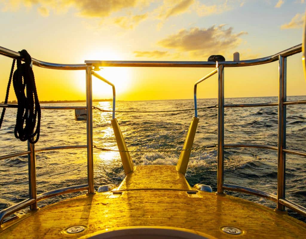Your experience at Sunset Cruise Boston Harbor Tours & Tickets