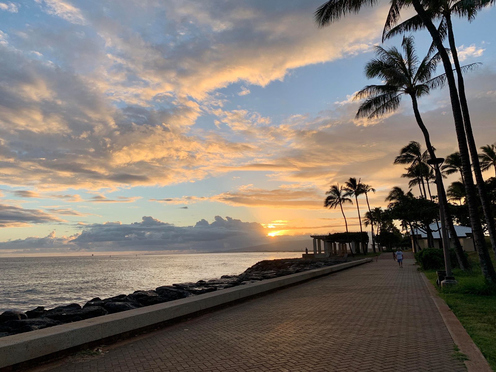 Kaka'ako Waterfront Park