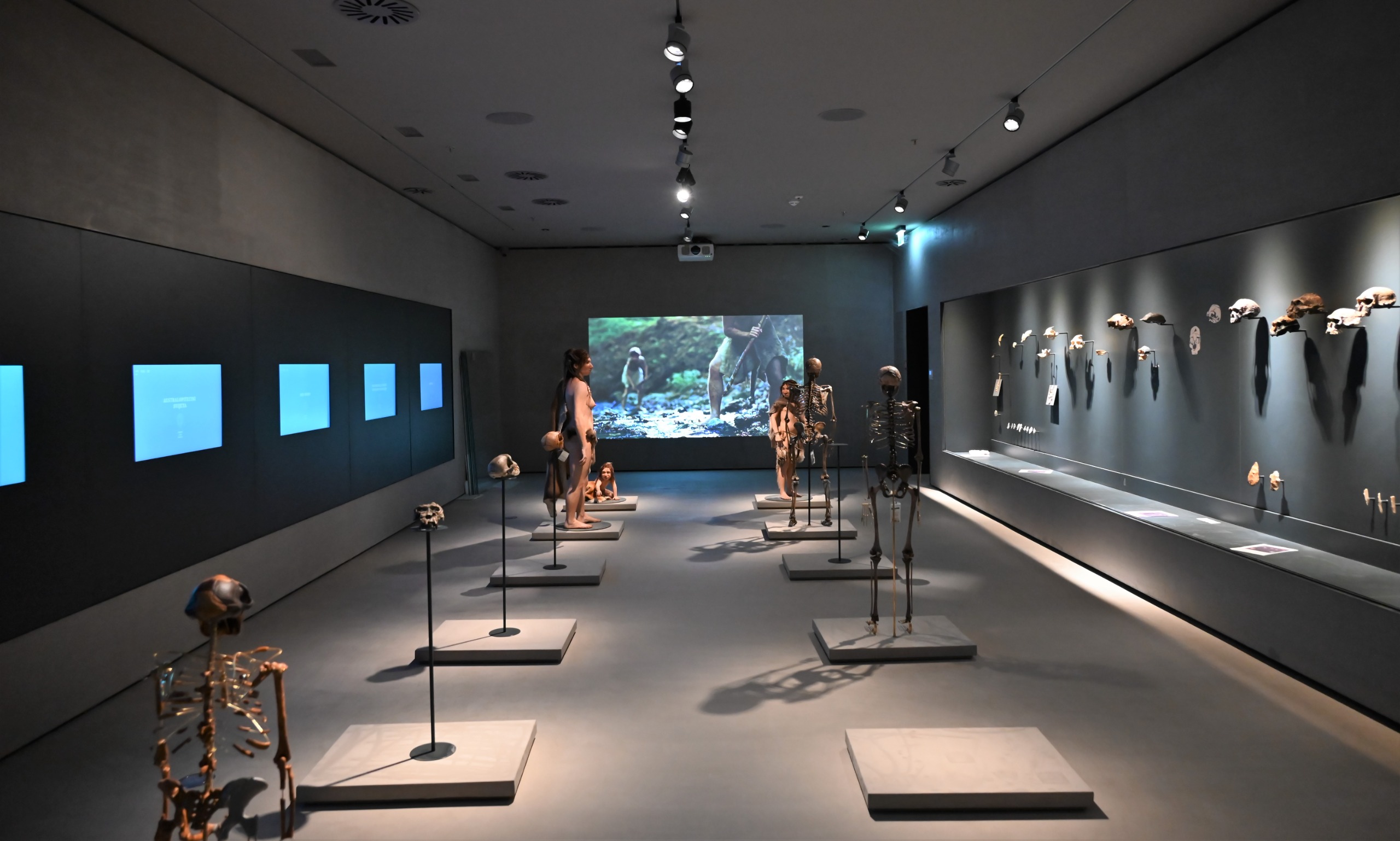 Makarska Natural History Museum