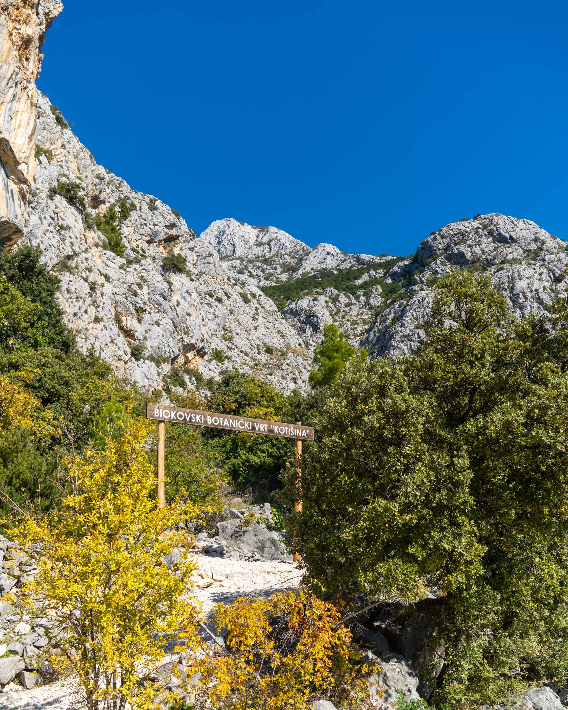 Kotišina Botanical Garden