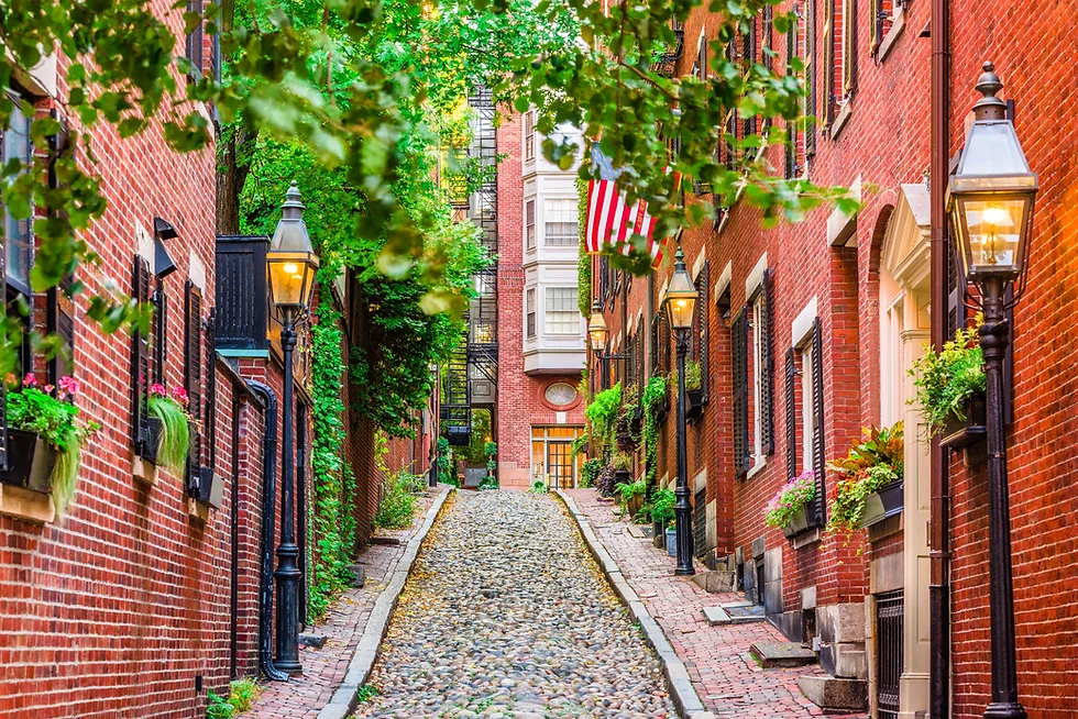 Beacon Hill Skyline
