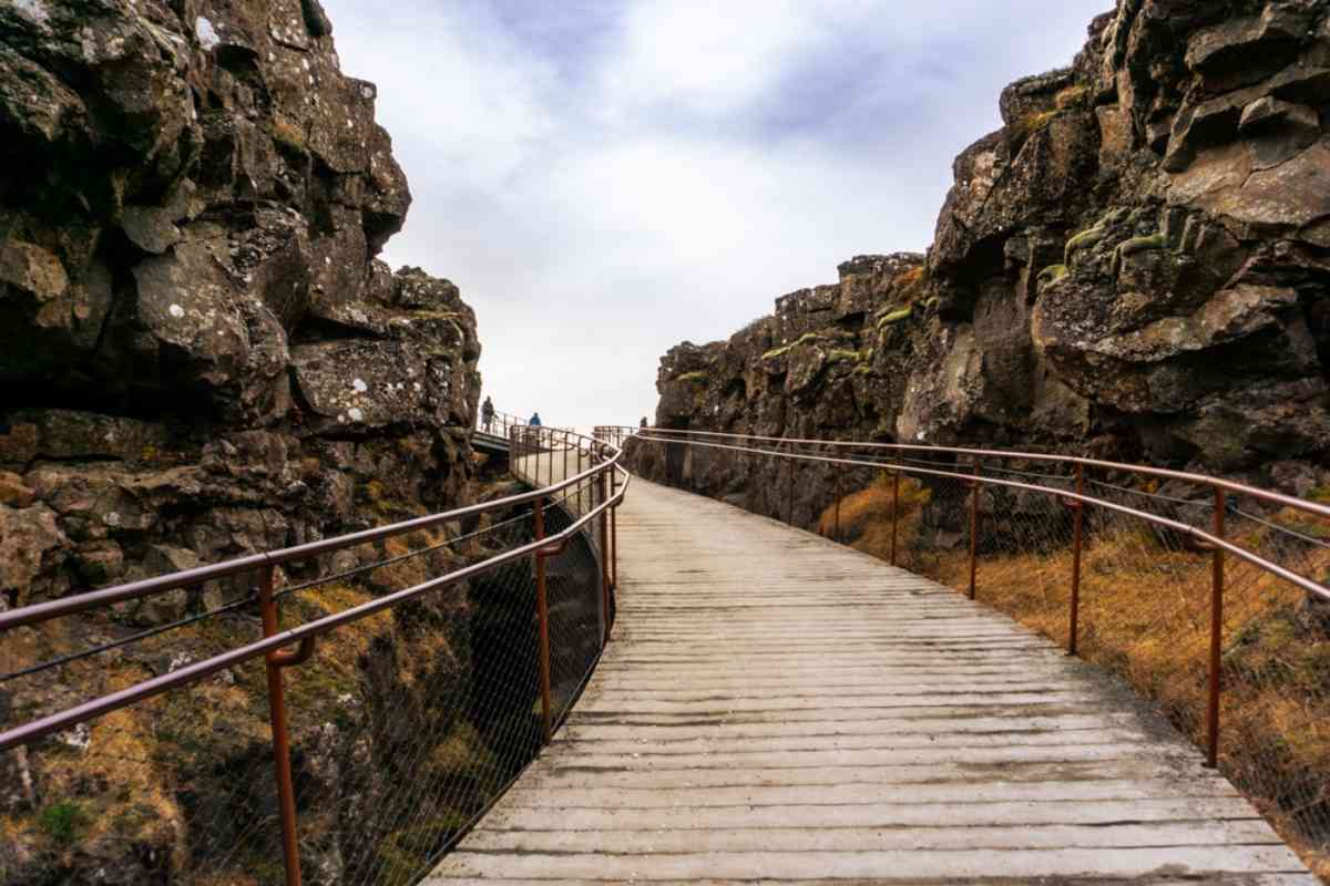 Warm Up and Explore the Park