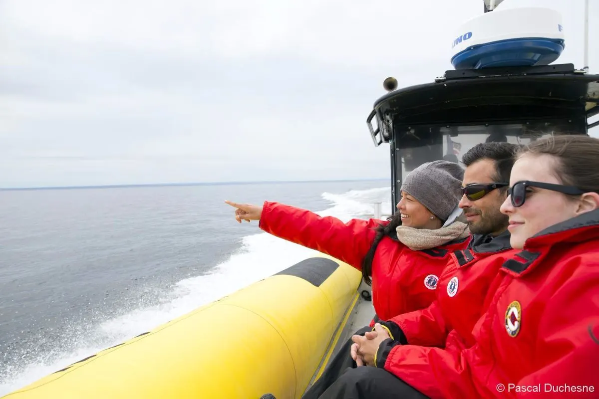 Tadoussac Whale Watching Tours