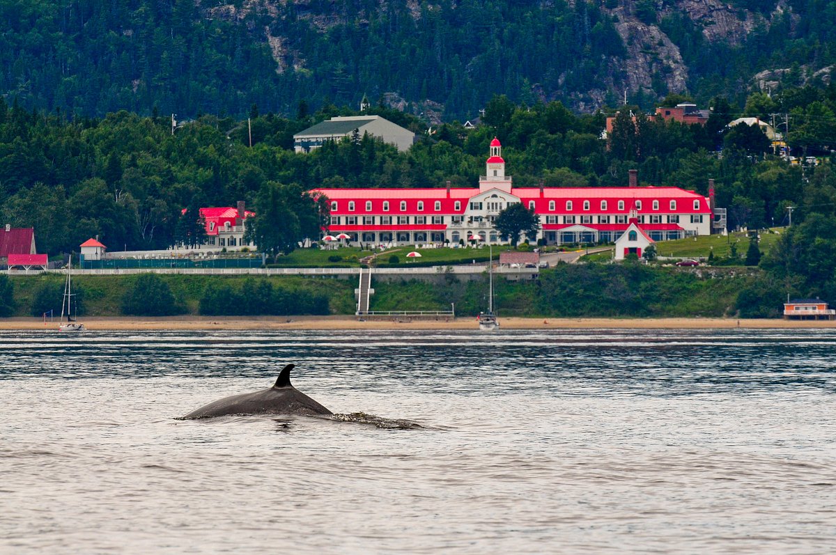Tadoussac Bay