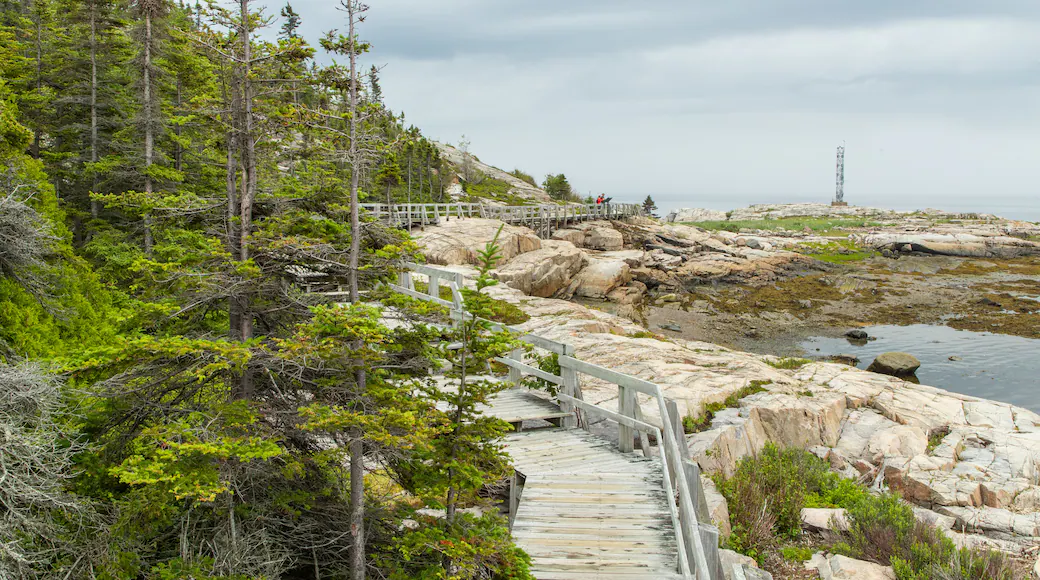 Pointe de l'Islet Trail