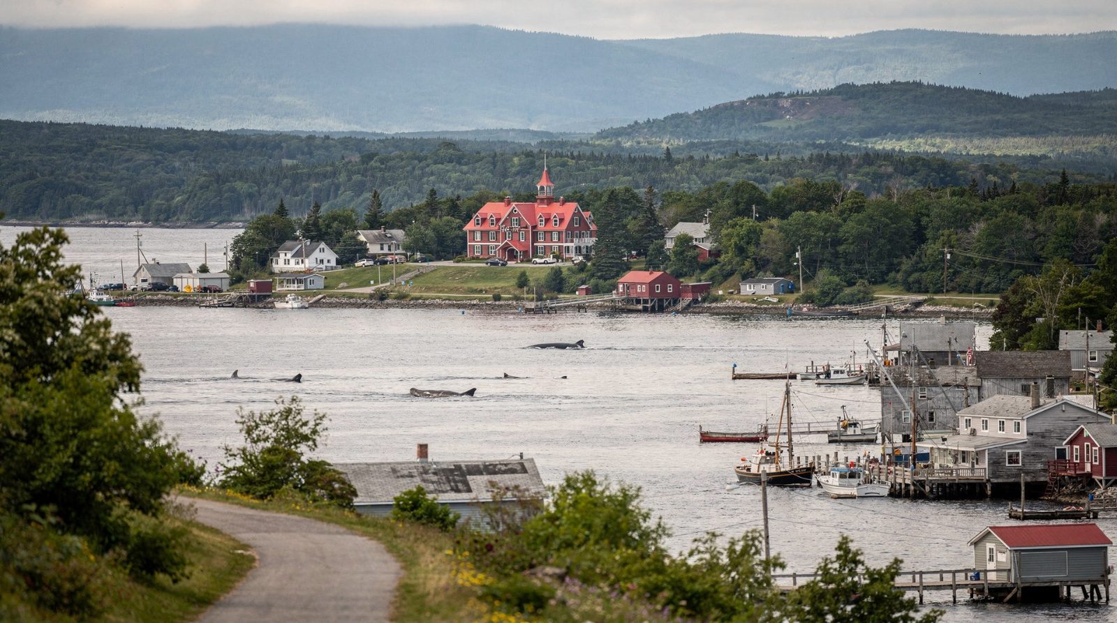 Saguenay Fjord Entrance