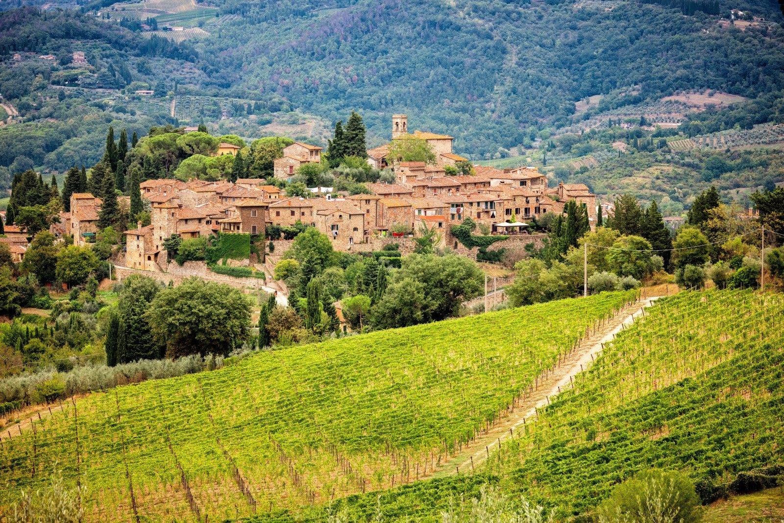 Montefioralle Village Walls