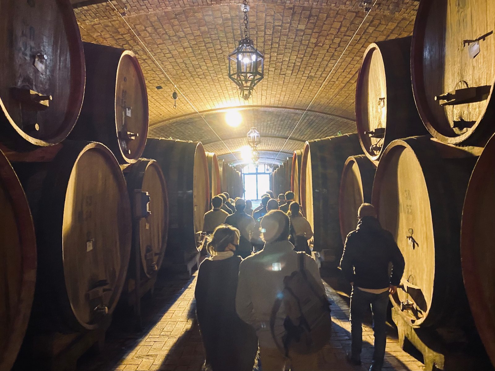 Chianti Wine Tour From Florence