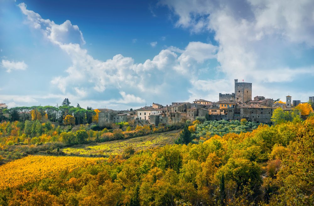 Castellina in Chianti Viewpoint