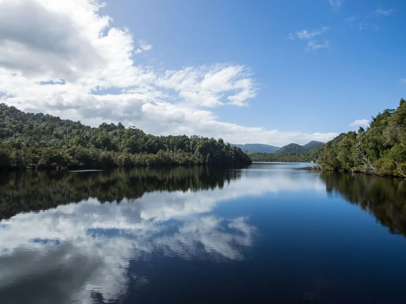 Gordon River Mirror Reflections