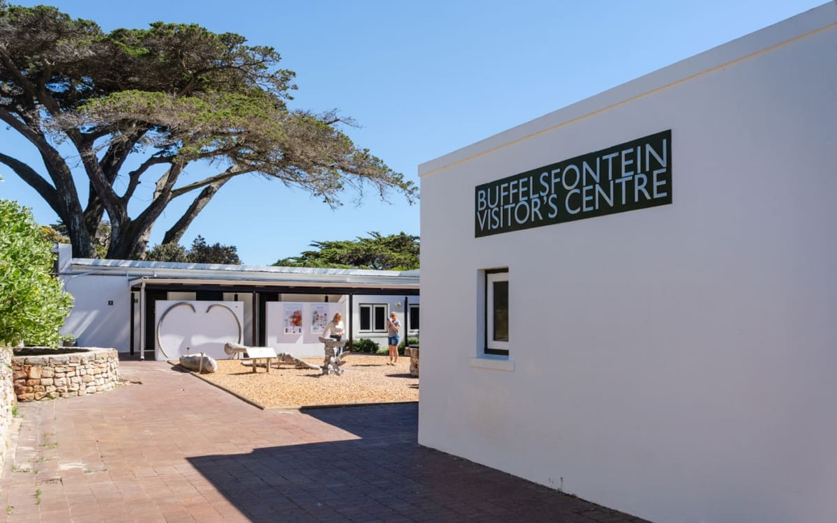 Gate Entry & Buffelsfontein Visitor Centre