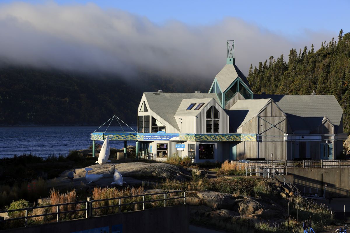 Whale Research Hub