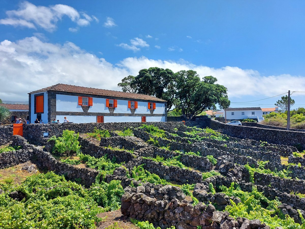 Pico Island Wine Museum