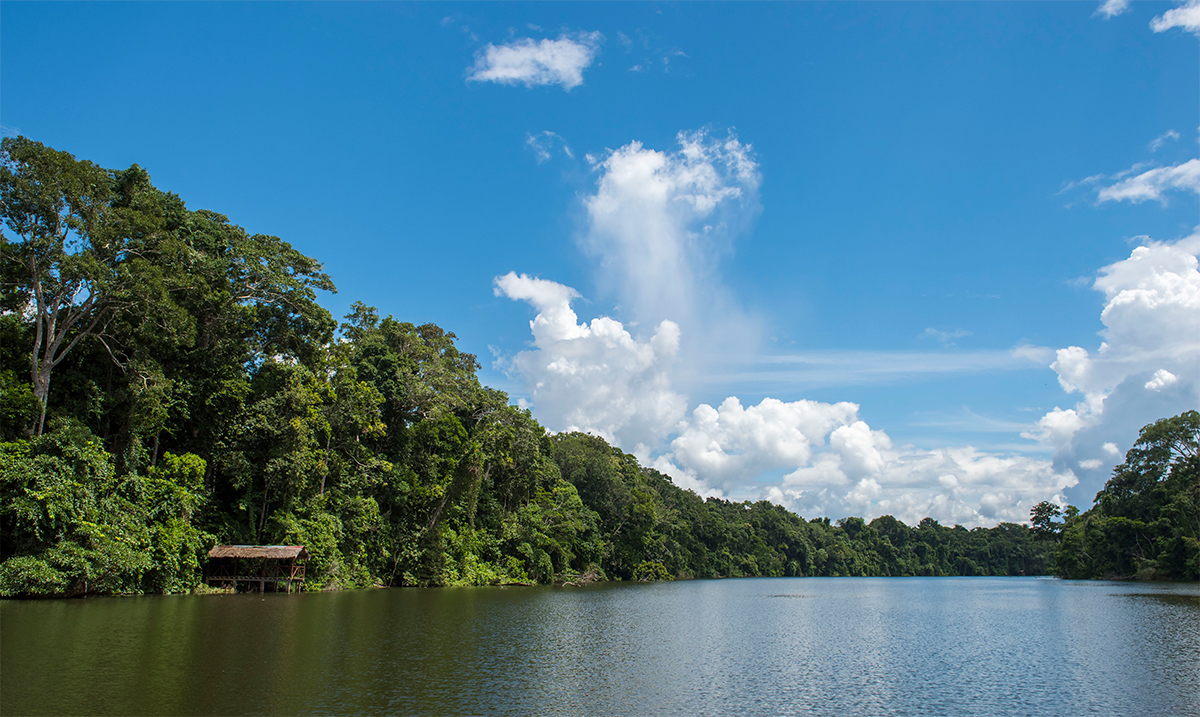 Cocha Salvador Oxbow Lake