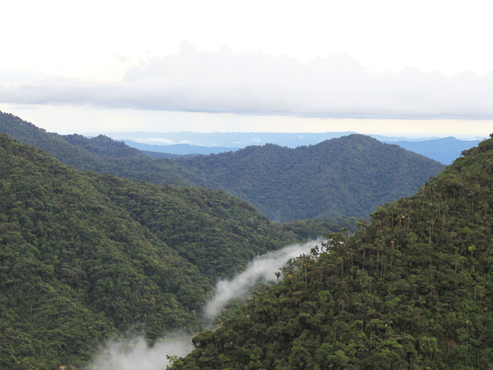 Acjanaco Cloud-Forest Entry