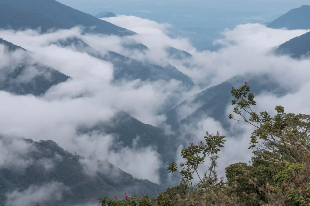 Acjanaco Cloud-Forest Gateway