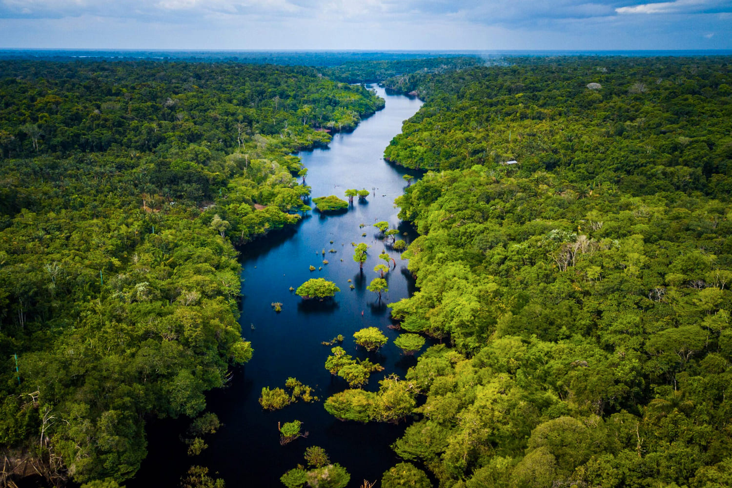 Manu National Park Tours & Tickets