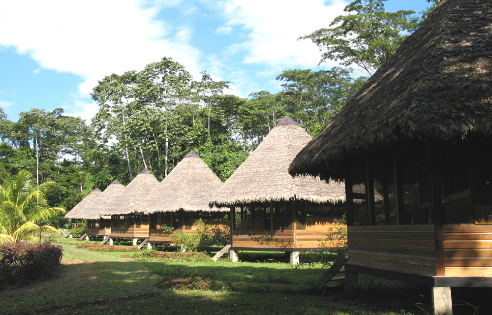 Manu Wildlife Center