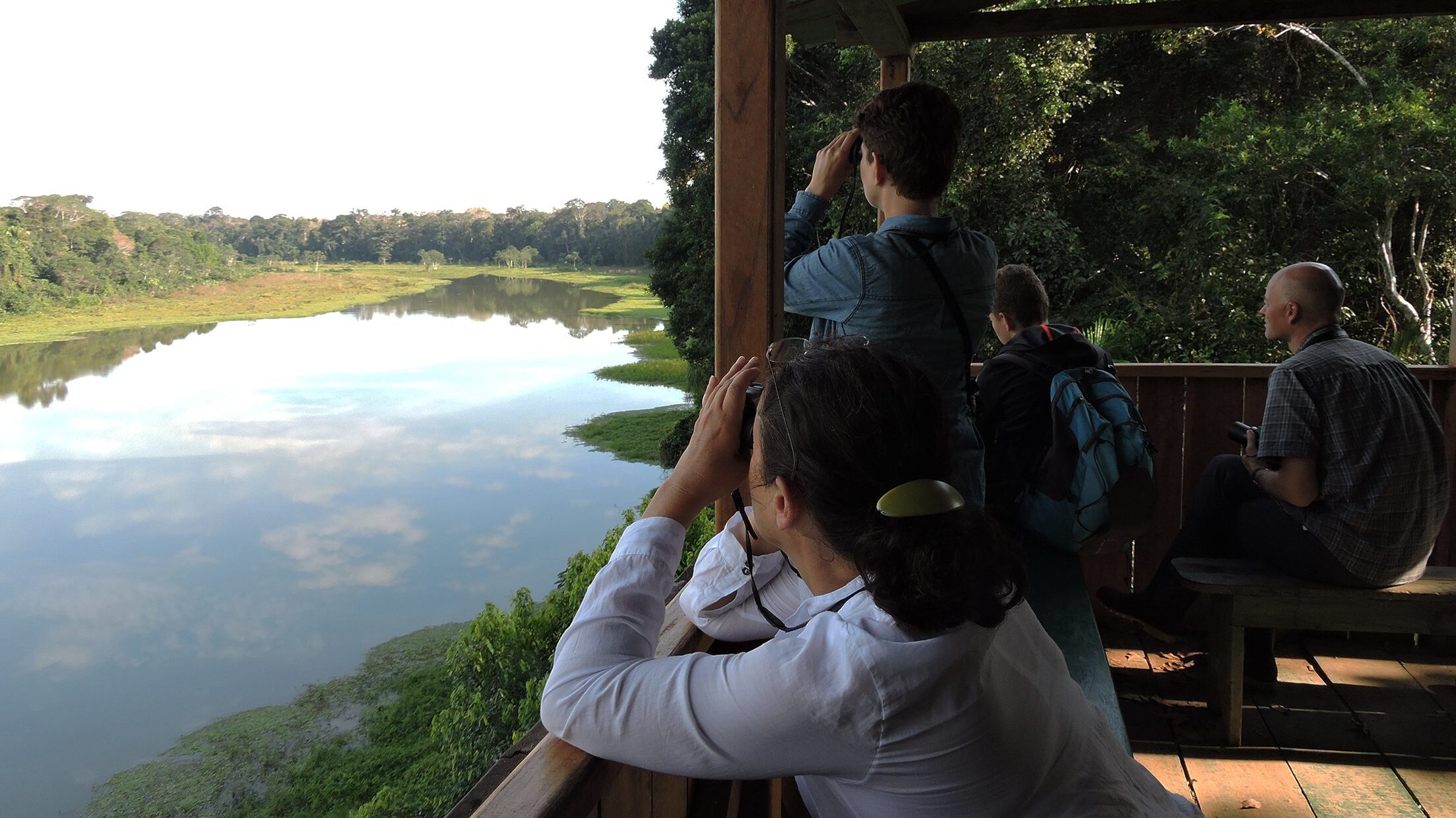 Cocha Otorongo Canopy Tower