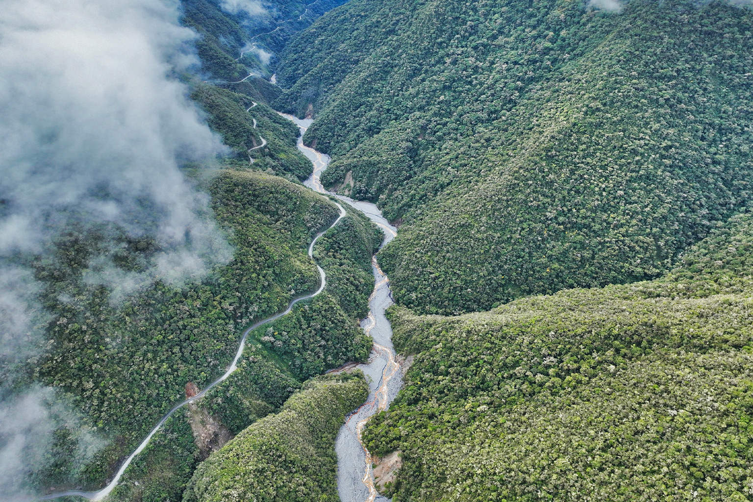 Kosñipata Valley Cloud Forest