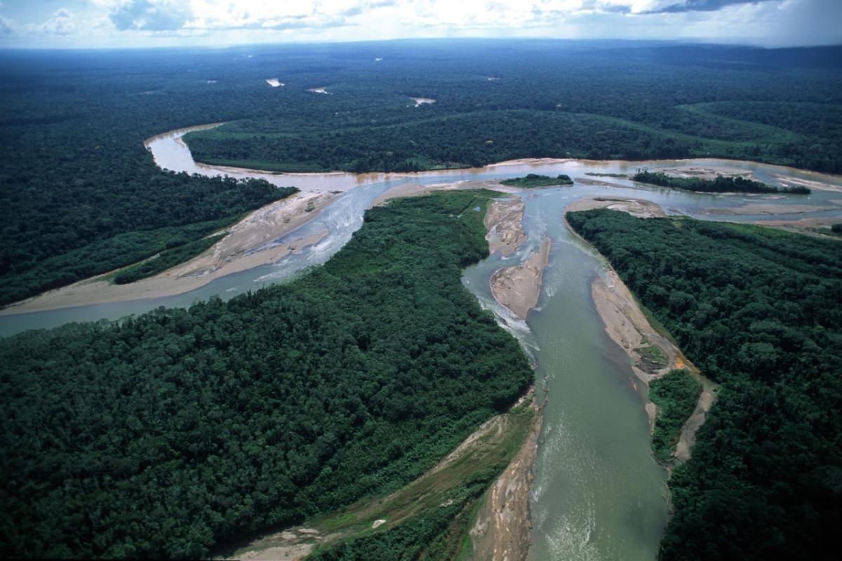 Boca Manu River Junction