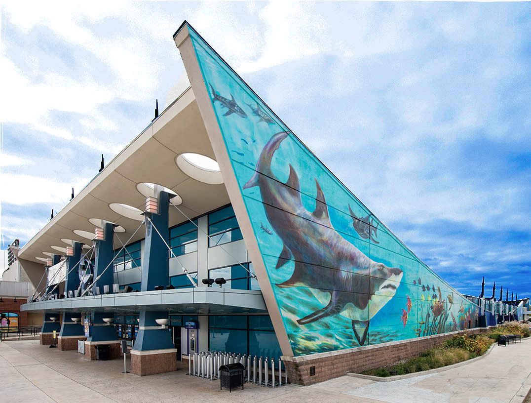 Newport Aquarium