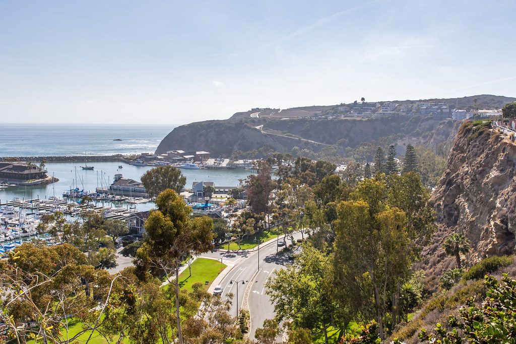 Bluff Top Trail