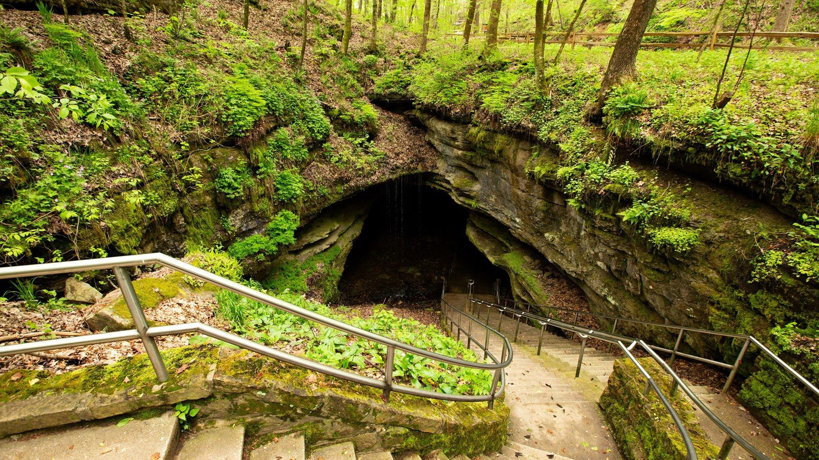 Mammoth Cave
