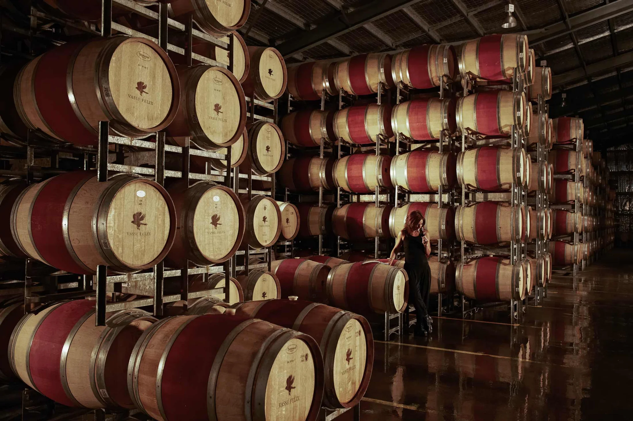 Vasse Felix Barrel Hall