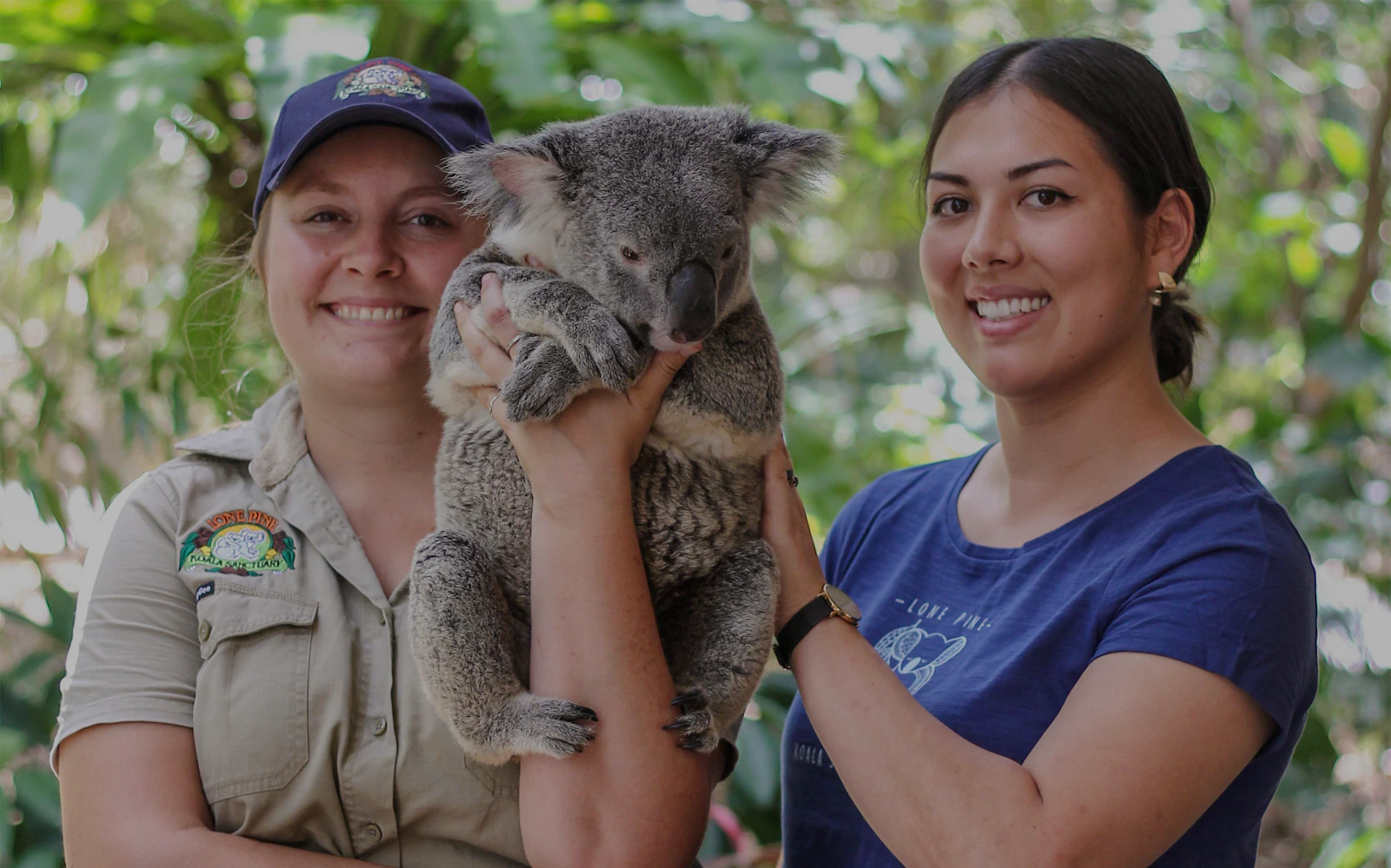 Brisbane River Cruise to Lone Pine Koala Sanctuary
