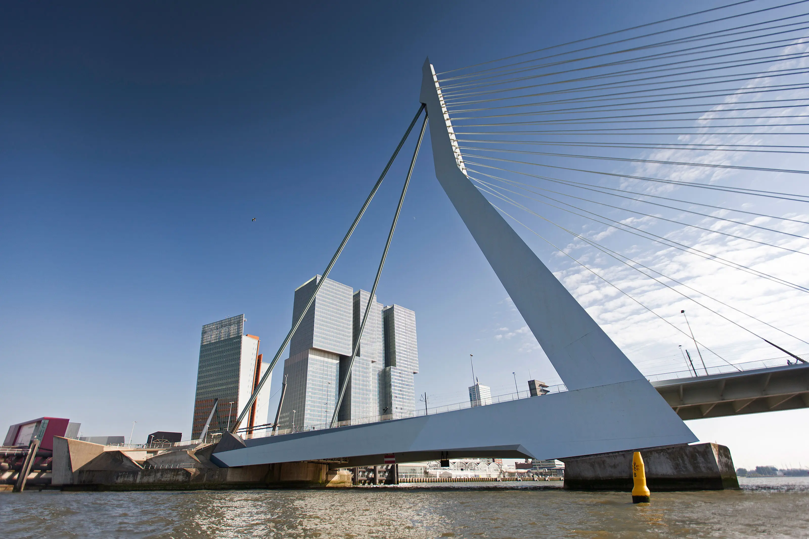 Erasmus Bridge Waterfront