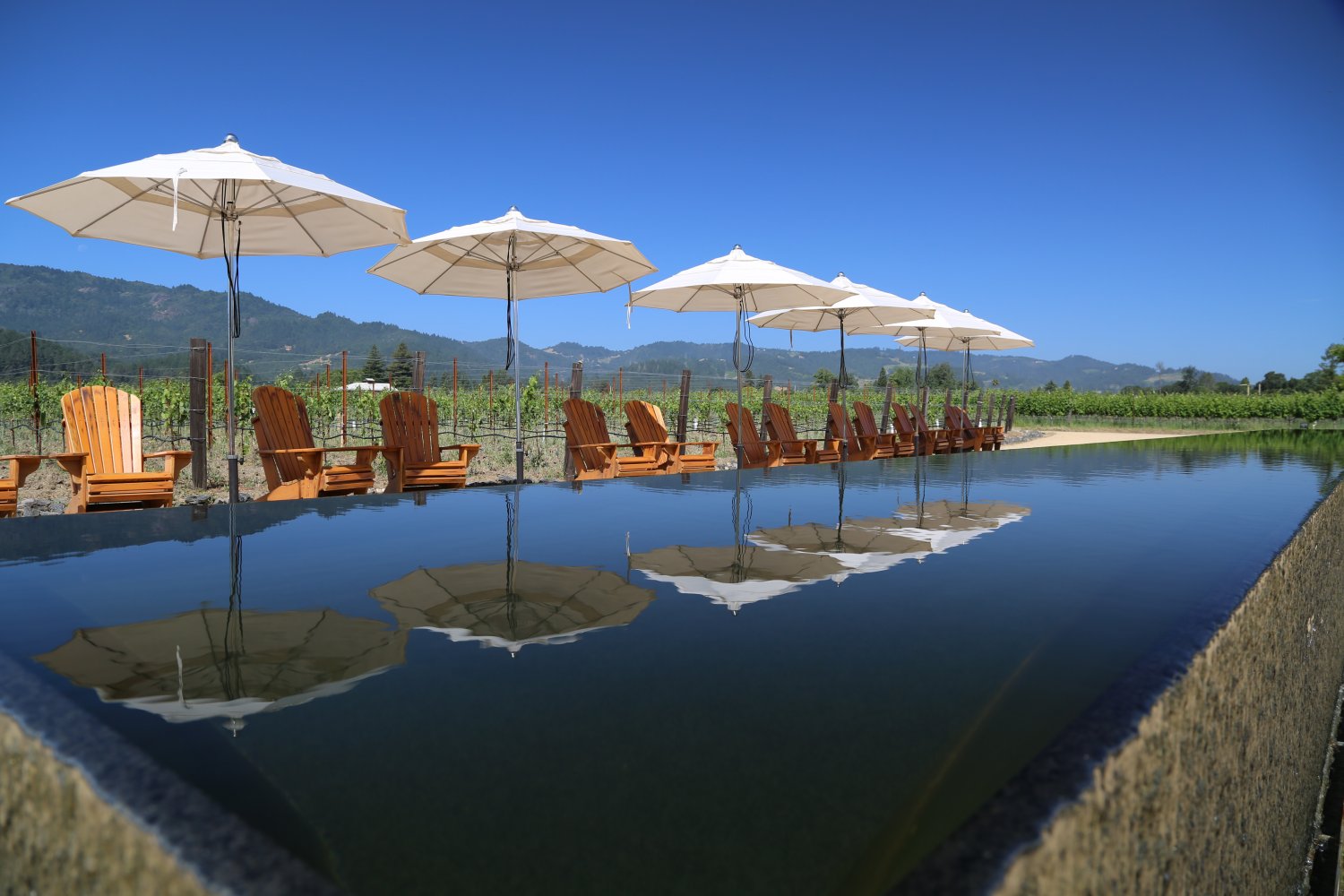 Hall Wines St. Helena Reflection Pool