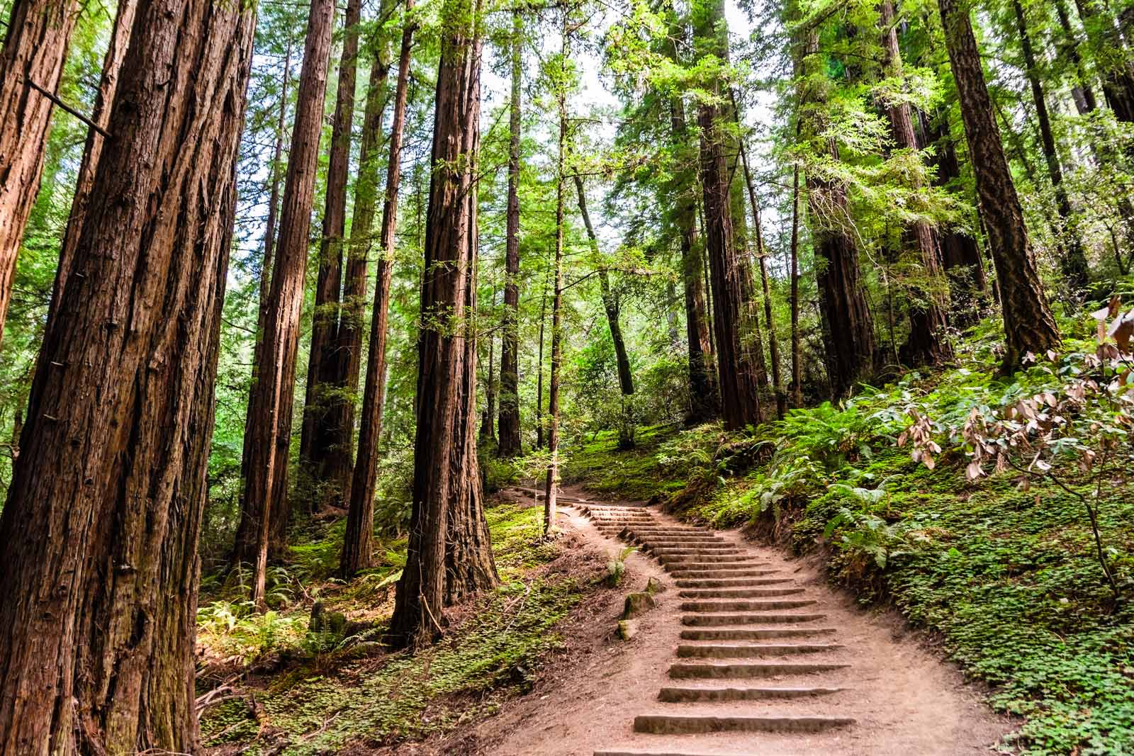Bothe-Napa Valley State Park