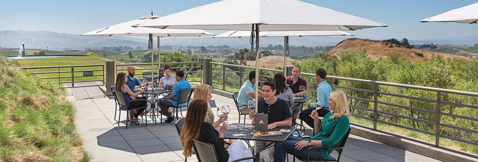 Artesa Vineyards Terrace