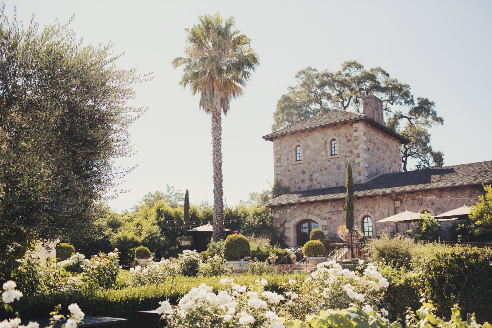 V. Sattui Winery Picnic Grounds