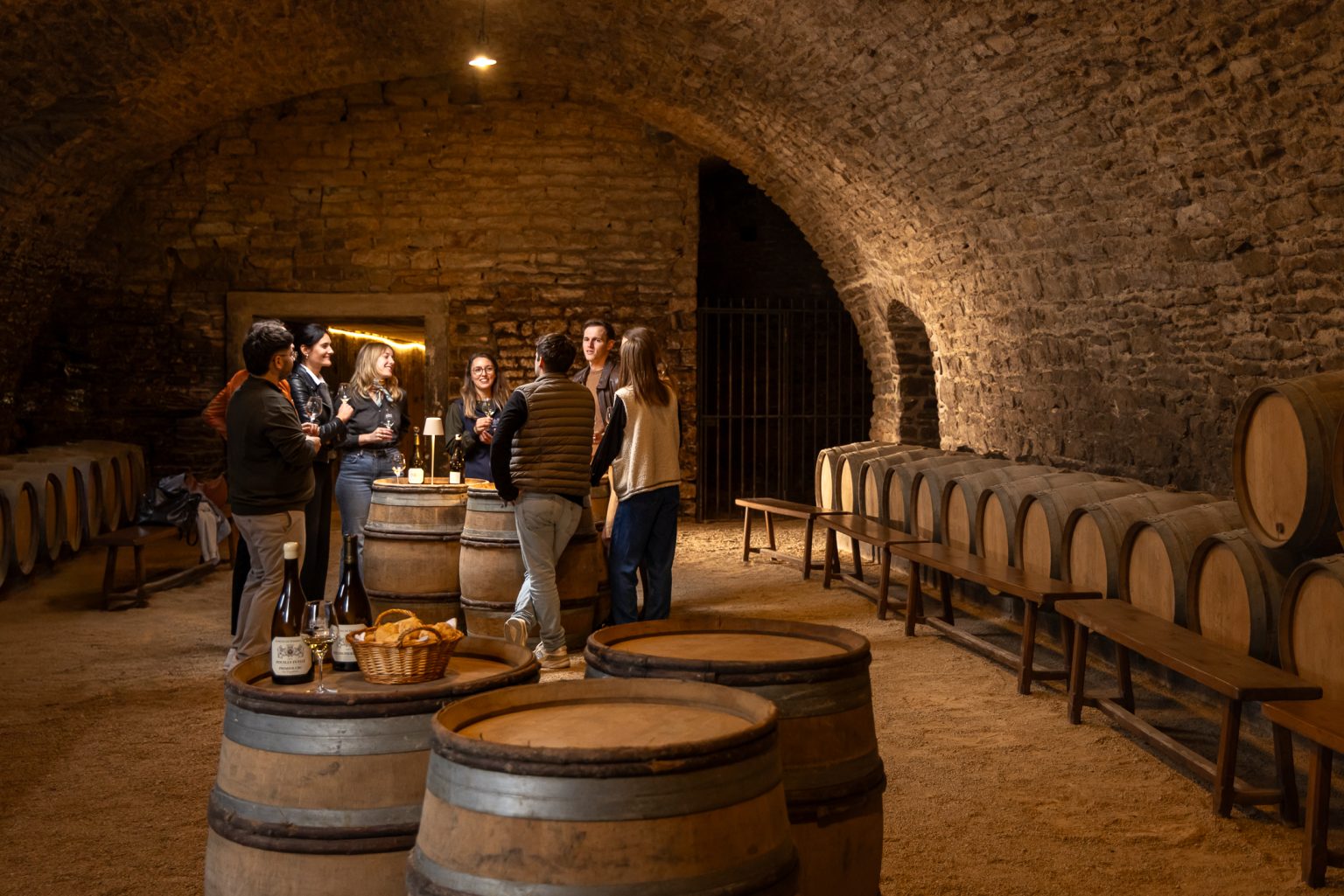 Bordeaux Wine Tour Bike