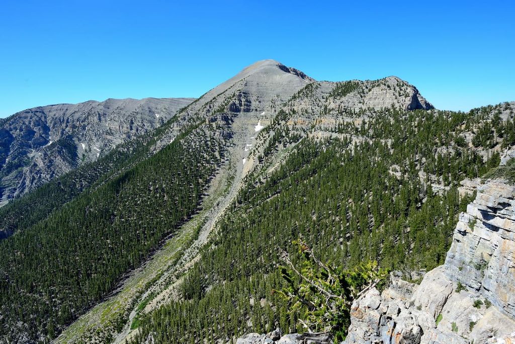 Mt. Charleston (Charleston Peak)