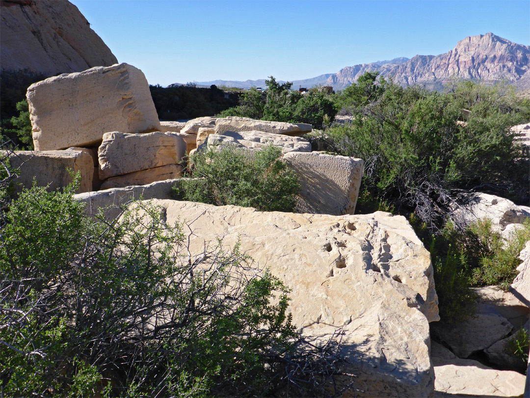 Sandstone Quarry Trailhead