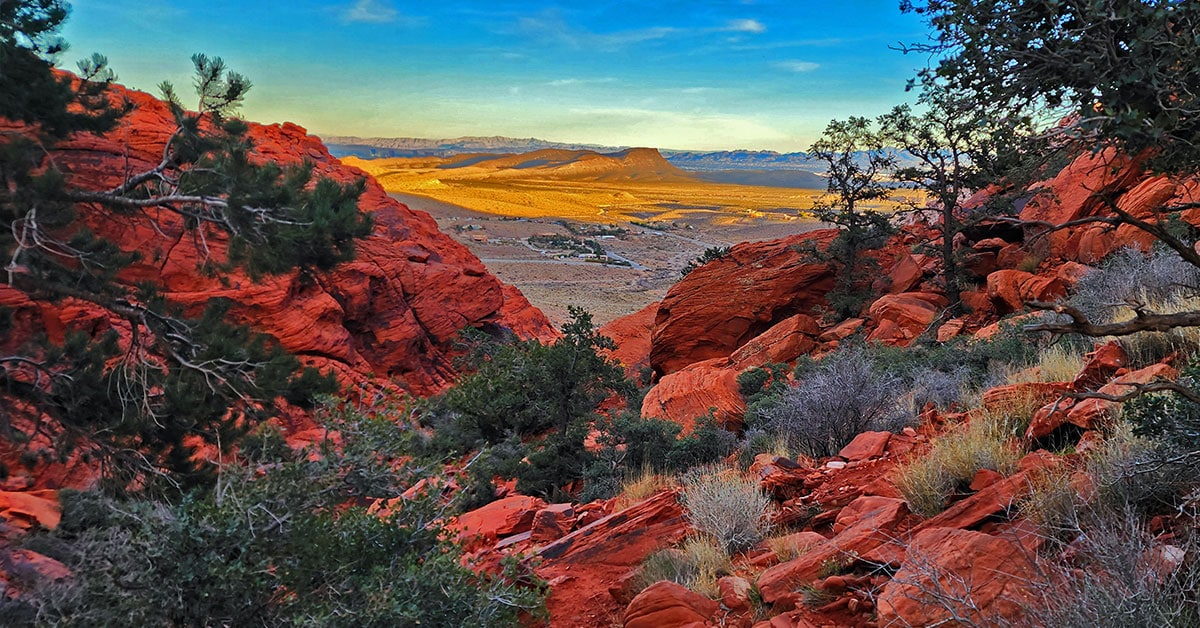 Calico Hills Overlooks (Stops 1 & 2)